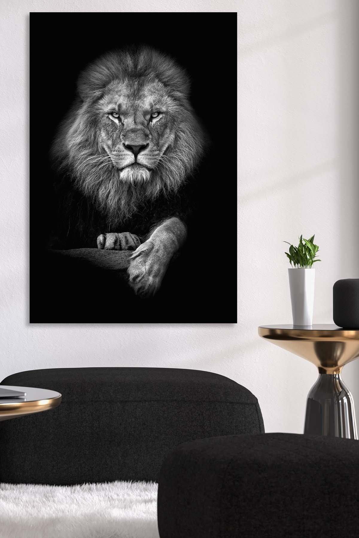 Leone in Bianco & Nero | Tela
